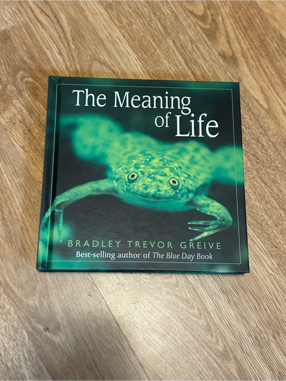 The Meaning of life by Bradley Trevor Greive